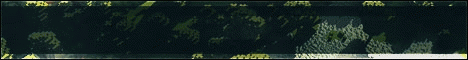 Allium banner