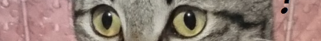 冰塊村伺服器 banner