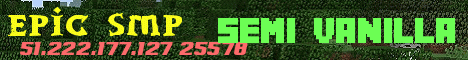 Vanilla Lifesteal banner