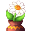 The Seed icon