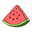 MelonSurvival icon