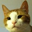 CatsCraft.net icon