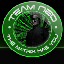 Team-NeOs Survvial With A Twist Server icon