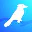 Velocity icon