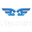 FlyCraftMC icon