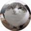 Your Mom's SMP icon