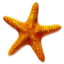 MC Beach Club icon