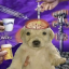 Koala Kraft icon