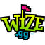 Wize : Capture the Flag Logo