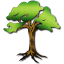 Terraconia icon