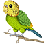 Budgie Network icon