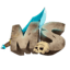 MineSword icon