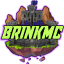 BrinkMC icon