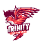 Trinity Indonesia icon