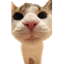 MeepCraft.com - Ultimate Economy Experience Logo