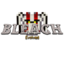 Bleach Evolved icon
