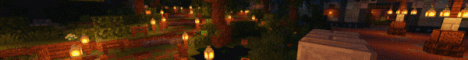 Ingenia banner