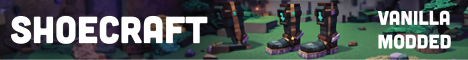 ShoeCraft banner